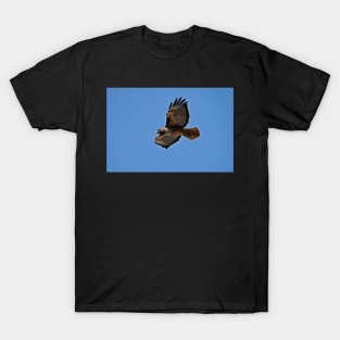 Western Red Tailed Hawk T-Shirt